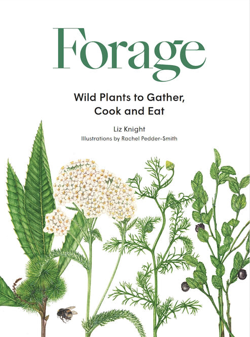 Forage: Wild Plants to...