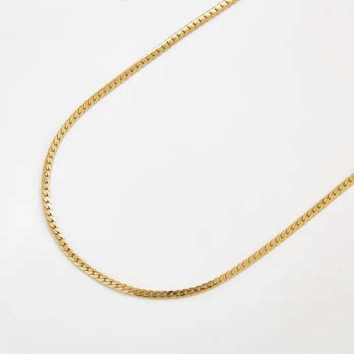 Flat Snake Chain Necklace