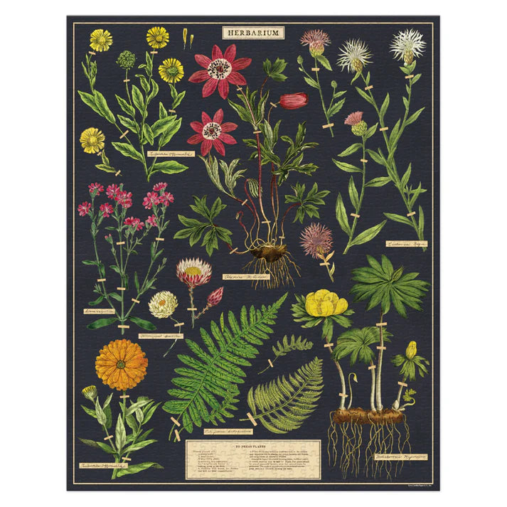 Herbarium- Cavallini & Co. 1000 Piece Puzzle