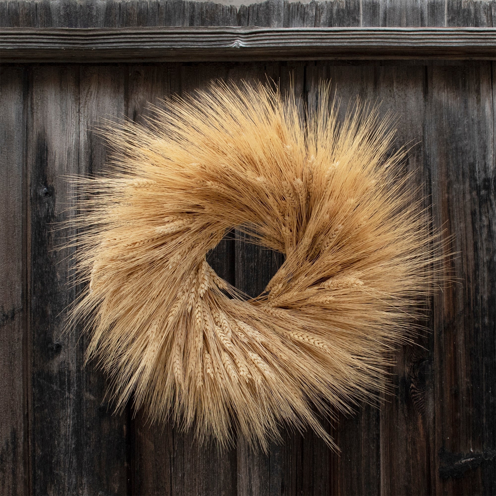 Dried Wheat Wreath 18"